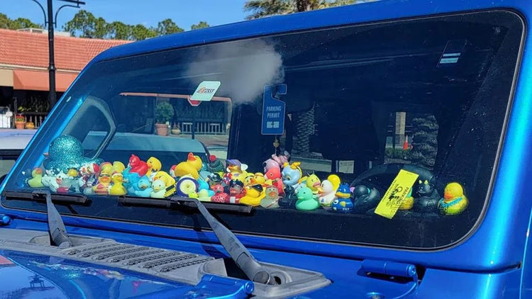 What Do Bronco Owners Put on Their Dash?