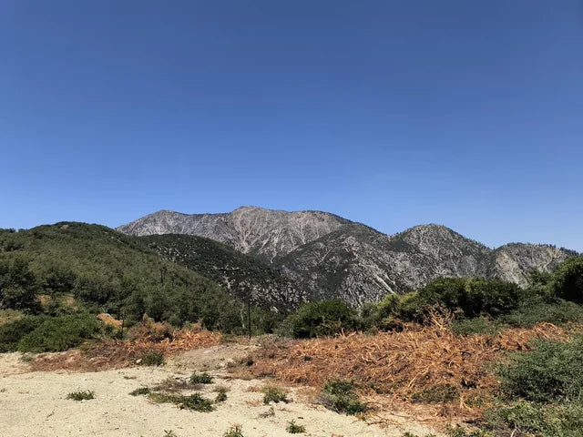 Best Off-Road Trails Near Fontana and the Inland Empire for a Ford Bronco