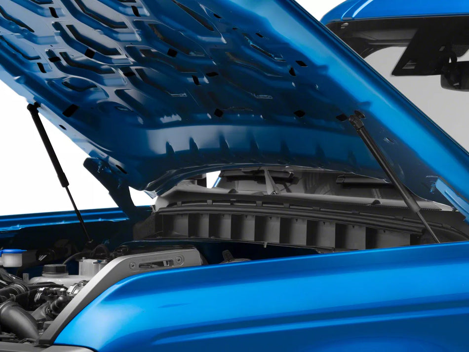 RedRock Hood Lift Supports for Ford Bronco - product view